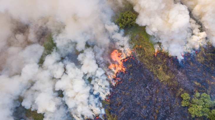 Warning over forest fires’ contribution to carbon emissions