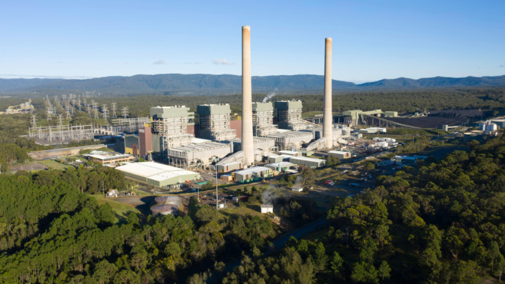 Mike Cannon-Brookes: the billionaire shaking things up at AGL Energy 
