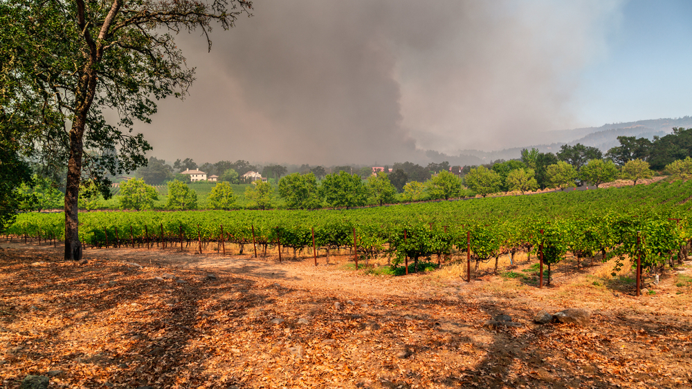 Beyond Barbarians at the Gate: climate resilience becomes private equity's new value lever