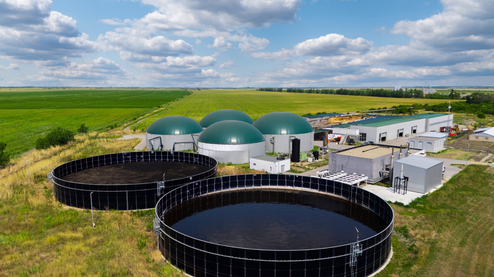 Dutch pension giant increases stake in UK bioenergy platform - Net Zero Investor - Net Zero Investor