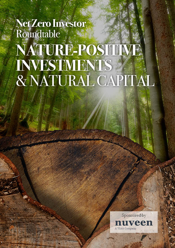 Trustee Network Roundtable: nature positive investments and natural capital