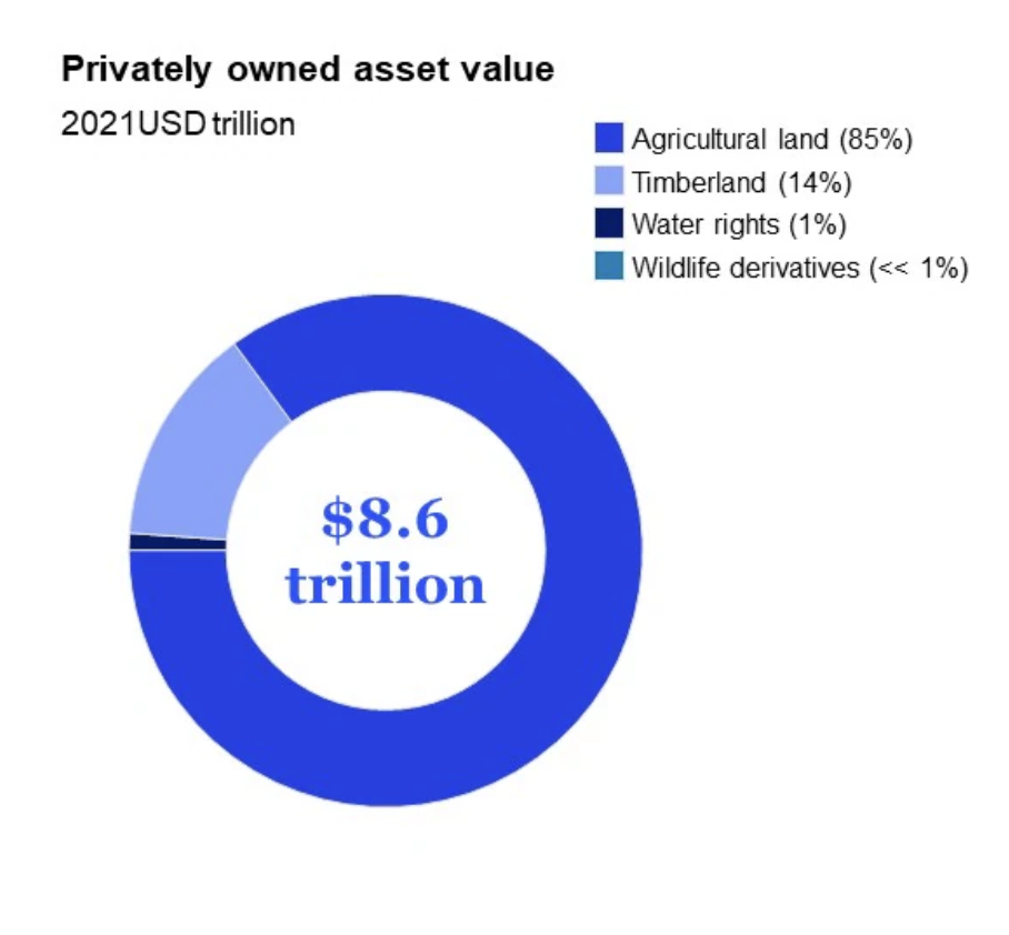 Timberland is increasingly on the radar of natural capital investors